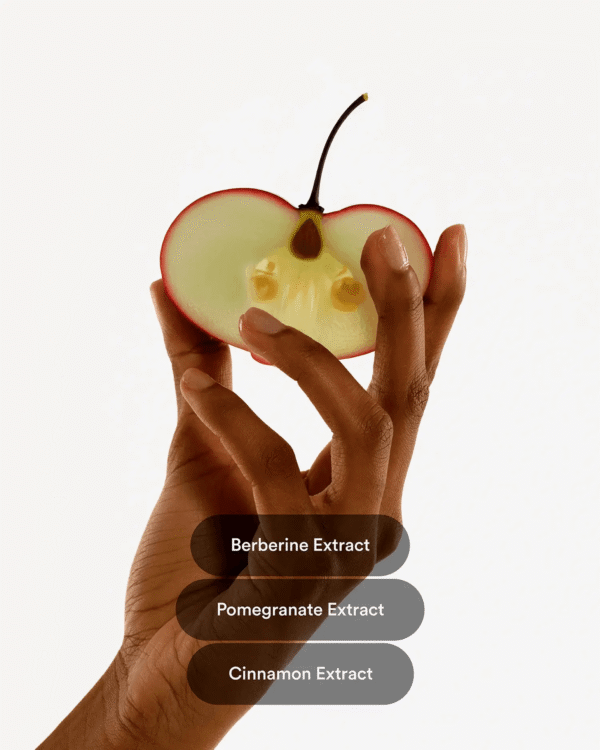 Botanical Wellness Patches – Buy 2 Get 1 Free (3 Bags Total)