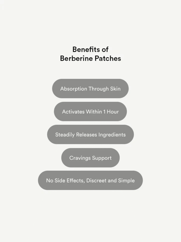 Botanical Wellness Patches – Buy 2 Get 1 Free (3 Bags Total)